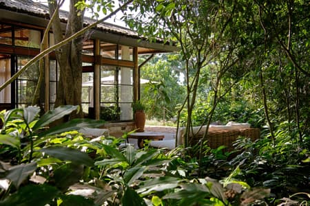 Entebbe Forest Lodge